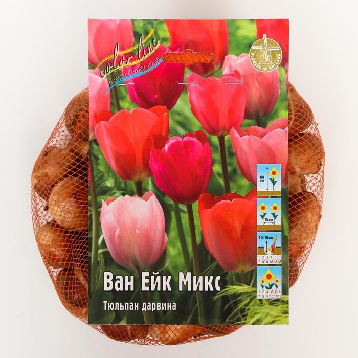 Тюльпан Ван Ейк Микс 11/12  1шт (КолЛайн) 8шт/уп
