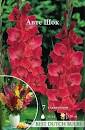 Гладиолус Авте Шок 12/14 1шт (НК) 7шт/уп