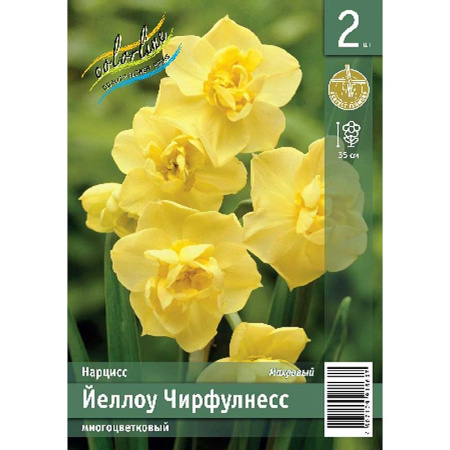 Нарцисс Йеллоу Черфулнес12/14 1шт (КолЛайн) 2шт/уп