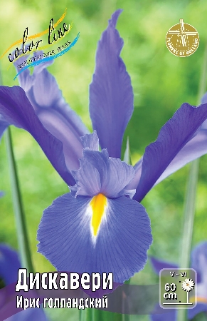 Ирис голландский Дискавери 1шт (КолЛайн) 10шт/уп