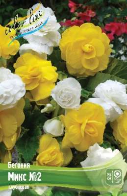 Бегония МИКС №2 1шт (КолЛайн) 2шт/уп