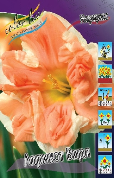 Нарцисс Априкот Вирл 1шт (КолЛайн) 3шт/уп