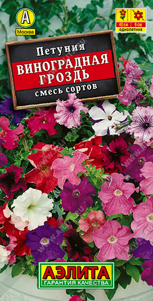 Петуния Виноградная гроздь, смесь 0,05г ц/п (Аэлита) каскадная