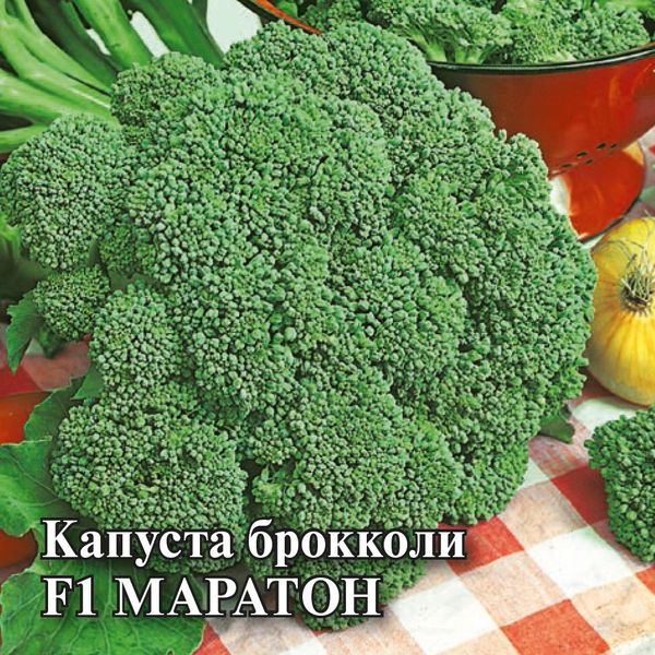 Капуста брокколи Маратон F1 250шт (Гавриш) Саката