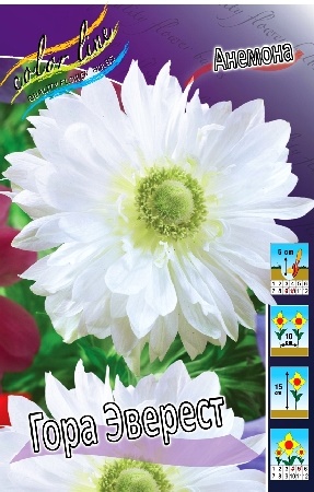 Анемона Гора Эверест 5/6 1шт (КолЛайн) 5шт/уп махровая