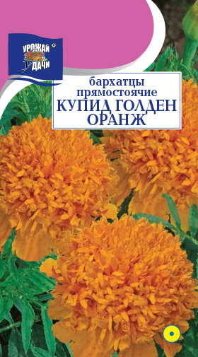 Бархатцы Купид Гольден Оранж 0,2г ц/п (УУ) 25см,8см 