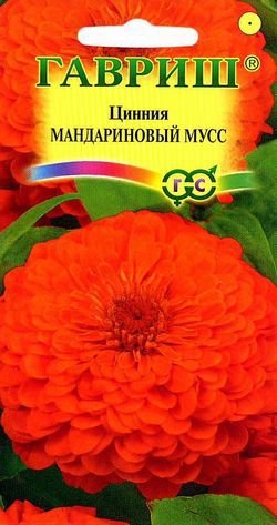 Цинния Мандариновый мусс 0,3г ц/п (Гавриш) 90см