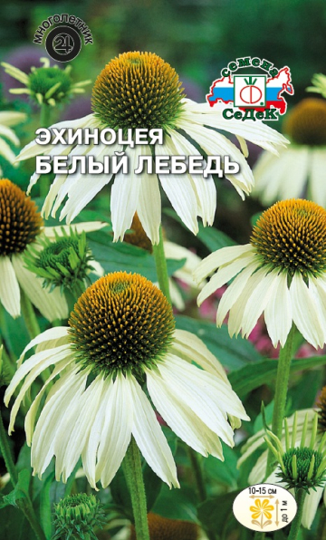 Эхинацея Белый лебедь 0,1г ц/п (Седек)