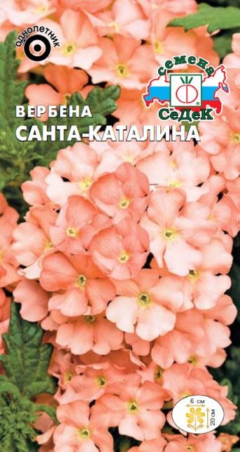Вербена Санта-Каталина 0,05г ц/п (Седек) абрикосово-розовая