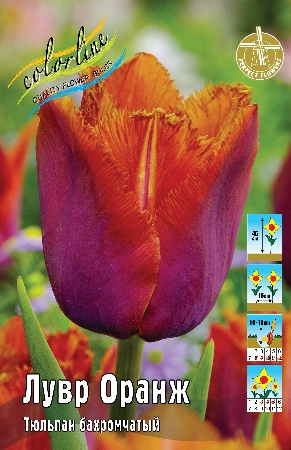 Тюльпан Лувр Оранж 1шт (КолЛайн) 2шт/уп