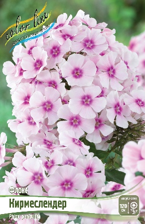 Флокс Кимерслендер 1шт (КолЛайн) 2шт/уп