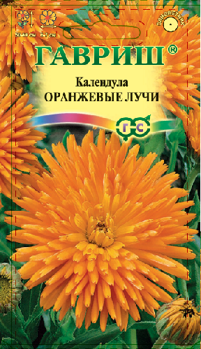 Календула Оранжевые  лучи ц/п (Гавриш)