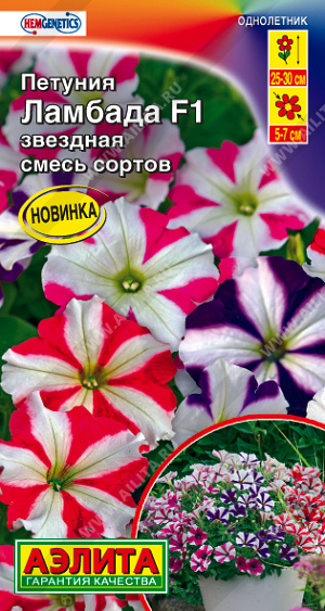 Петуния Ламбада Звездная, смесь окрасок F1 7шт ц/п (Аэлита)