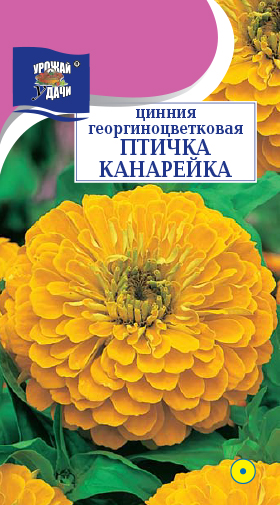 Цинния Птичка Канарейка 0,3г ц/п (УУ) георгиновидная