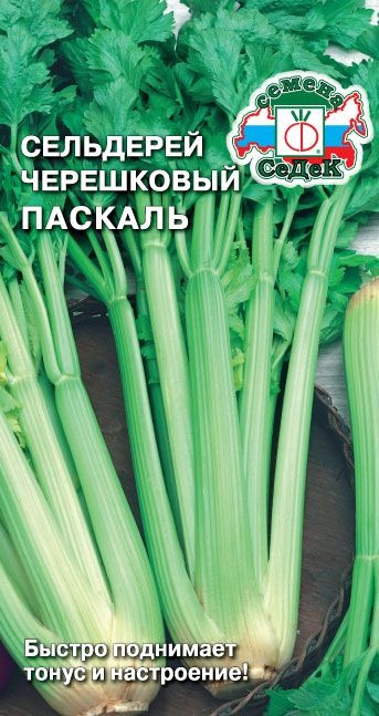 Сельдерей черешковый Паскаль 0,5г ц/п (Седек)