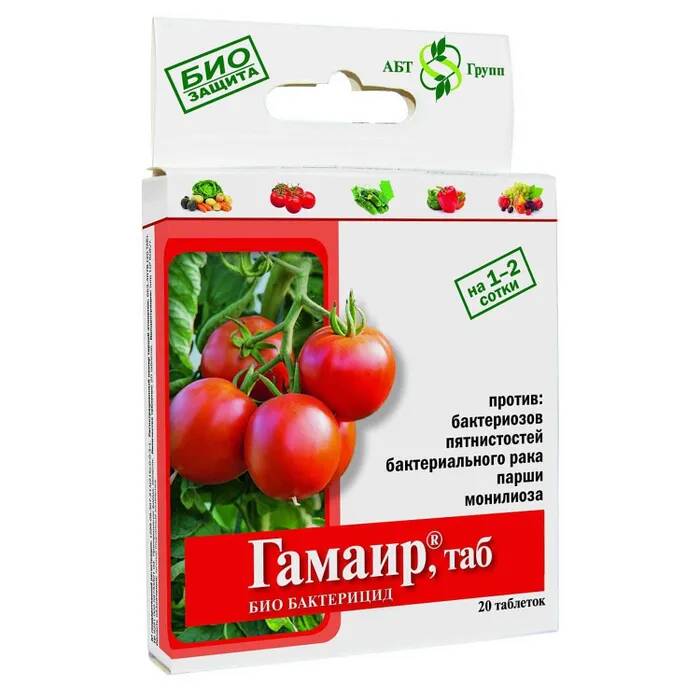Гамаир 20 таблеток (АБТ) 10/100