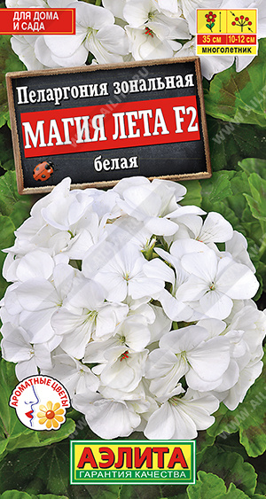 Пеларгония Магия лета Белая F2 5шт ц/п (Аэлита)
