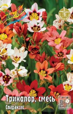 Спараксис Триколор, смесь 1шт (КолЛайн) 10шт/уп