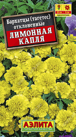 Бархатцы Лимонная капля 0,3г ц/п (Аэлита) 20см/6см
