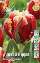 Тюльпан Диджей Пэррот 1шт (КолЛайн) 2шт/уп