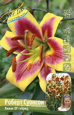 Лилия Роберт Суонсон 12/14 1шт (КолЛайн)