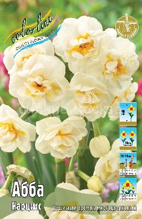 Нарцисс Абба 12/14 1шт (КолЛайн) 5шт/уп