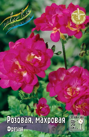 Фрезия Розовая махровая 1шт (Садовита) 10шт/уп