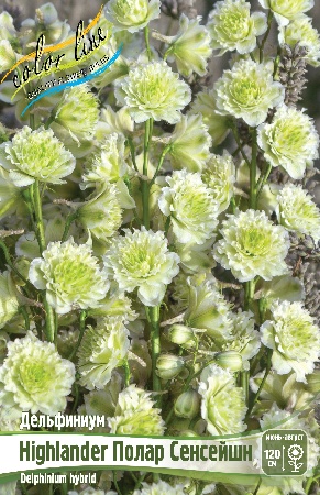Дельфиниум Полар Сенсейшн 1шт (КолЛайн)