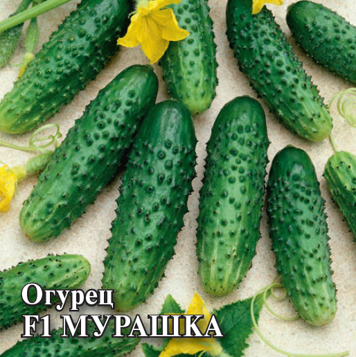 Огурец Мурашка F1 250шт (Гавриш)