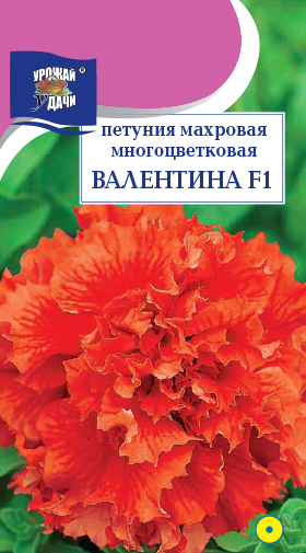 Петуния Валентина F1 8шт ц/п (УУ) махровая