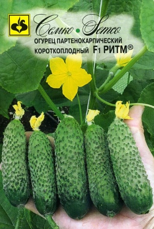 Огурец Ритм F1 5шт (Семко) ранн,самооп,пучков