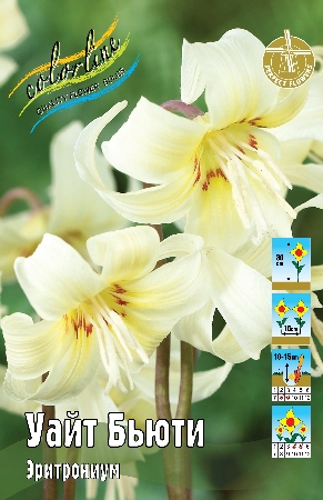 Эритрониум Уайт Бьюти 1шт (КолЛайн) 3шт/уп