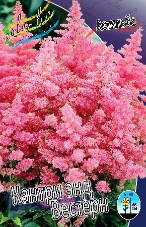 Астильба Кантри энд Вестерн 1шт (КолЛайн) 2шт/уп