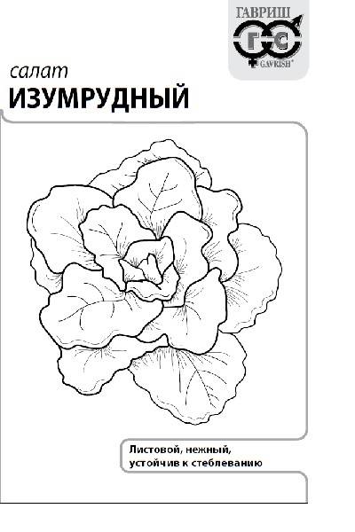 Салат Изумрудный 0,5г б/п (Гавриш)