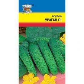 Огурец Ураган F1 0,25г ц/п (УУ) партенокарп.скороспел