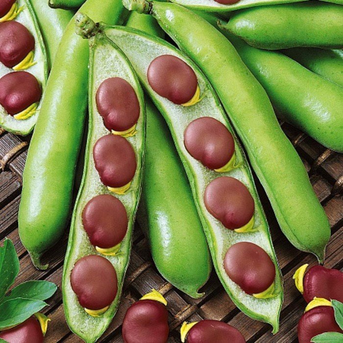 Бобы Русские Черные 1кг (ПрСидс)