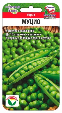 Горох Муцио 4г (СибСад)