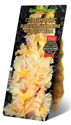 Гладиолус Воспоминание из детства 10/12 1шт (НК) 5шт/уп