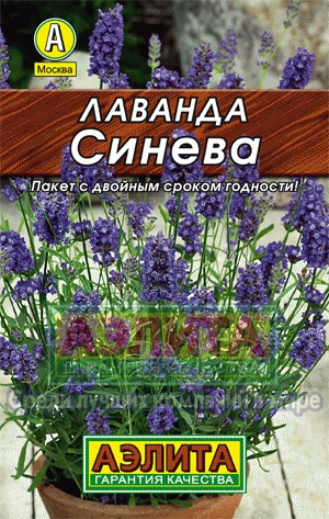 Лаванда Синева 0,1г лид/п (Аэлита)