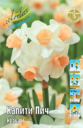 Нарцисс Капити Пич 12/14 1шт (КолЛайн) 2шт/уп