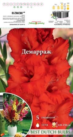 Гладиолус Демарраж 12/14 1шт (НК) 5шт/уп