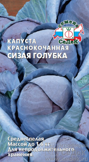 Капуста краснокочанная Сизая голубка 0,5г ц/п (Седек) 