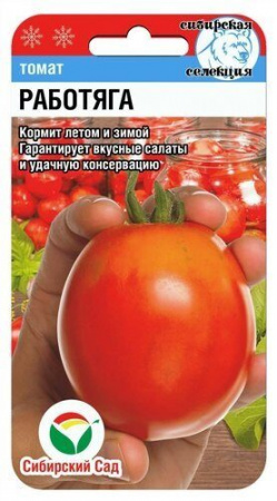 Томат Работяга 20шт (СибСад)