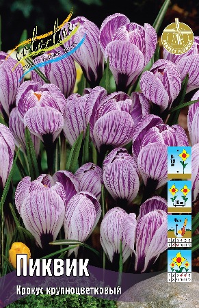 Крокус Пиквик 7/8  1шт (КолЛайн) 5шт/уп
