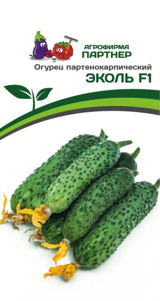 Огурец Эколь F1 5шт (Партнер) ранн., защищ. и откр.грунт