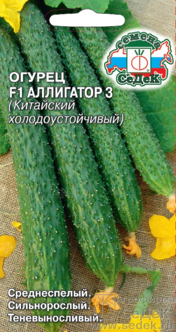 Огурец Аллигатор F1 0,2г ц/п (Седек) ранний,пчелоопыл,35-40см.