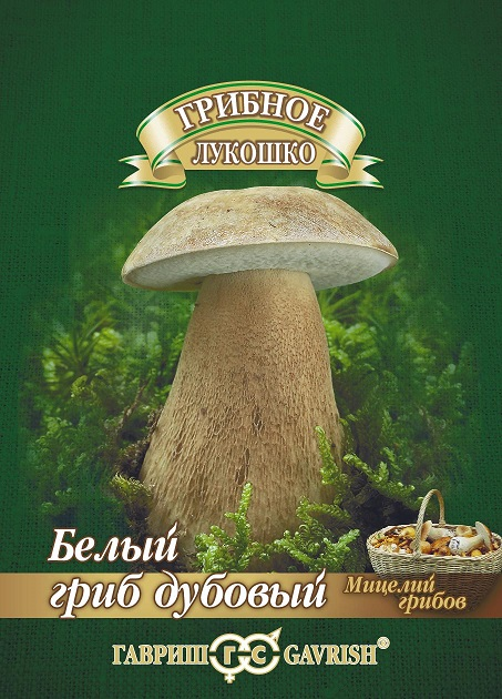 Мицелий грибов Белый гриб Дубовый 15мл ц/п (Гавриш)