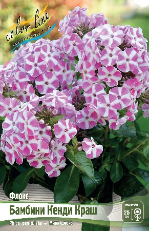 Флокс Бамбини Кенди Краш 1шт (КолЛайн) 2шт/уп