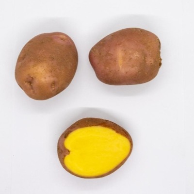 Картофель Евпатий фас.2кг/20кг/м Элита ср/спелый, кожура красная, мякоть желтая