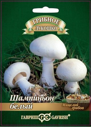 Мицелий грибов Шампиньон Белый на зерн.субстрате 15мл ц/п (Гавриш)